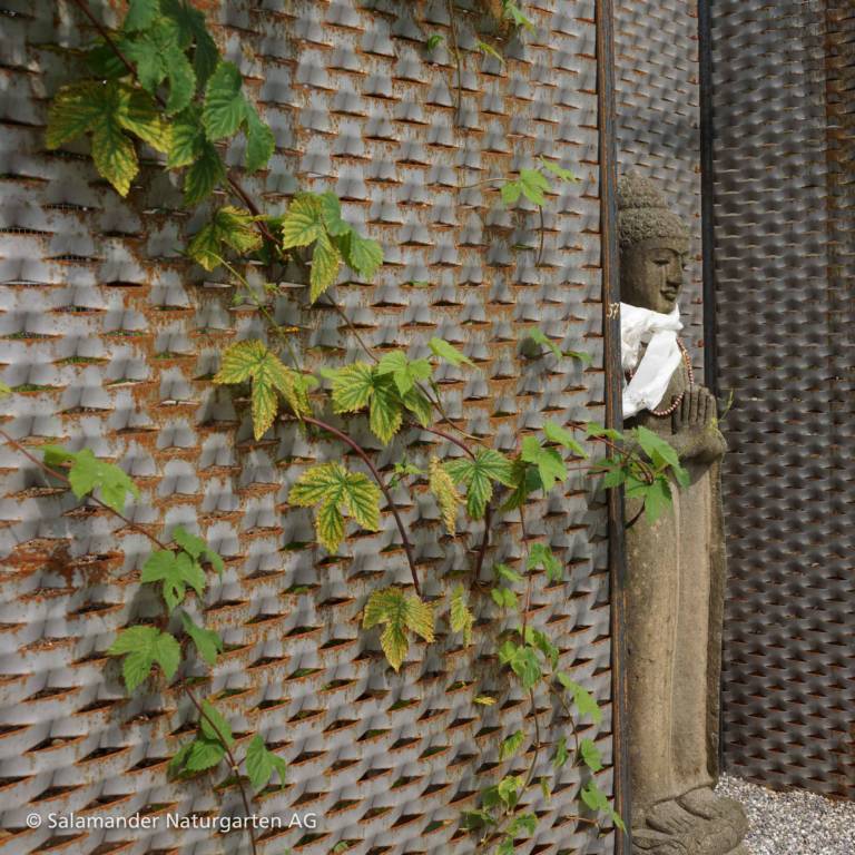 Zäune und Sichtschutzelemente im Garten - Salamander Naturgarten AG