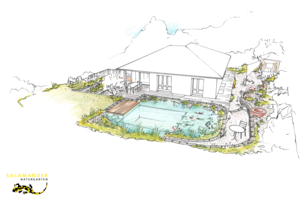 Visualisierung Skizze Familiengarten mit Schwimmteich Naturgarten