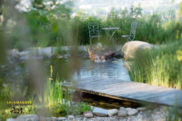 Apothekergarten Holzsteg Schwimmteich Naturgärten für Qualitätsbewusste Naturgarten