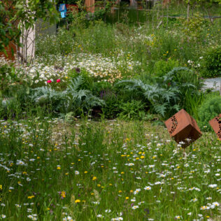 Referenz Salamander Naturgarten Ferien im eigenen Garten Kunst im Garten